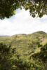 Colombian Coffee Hills